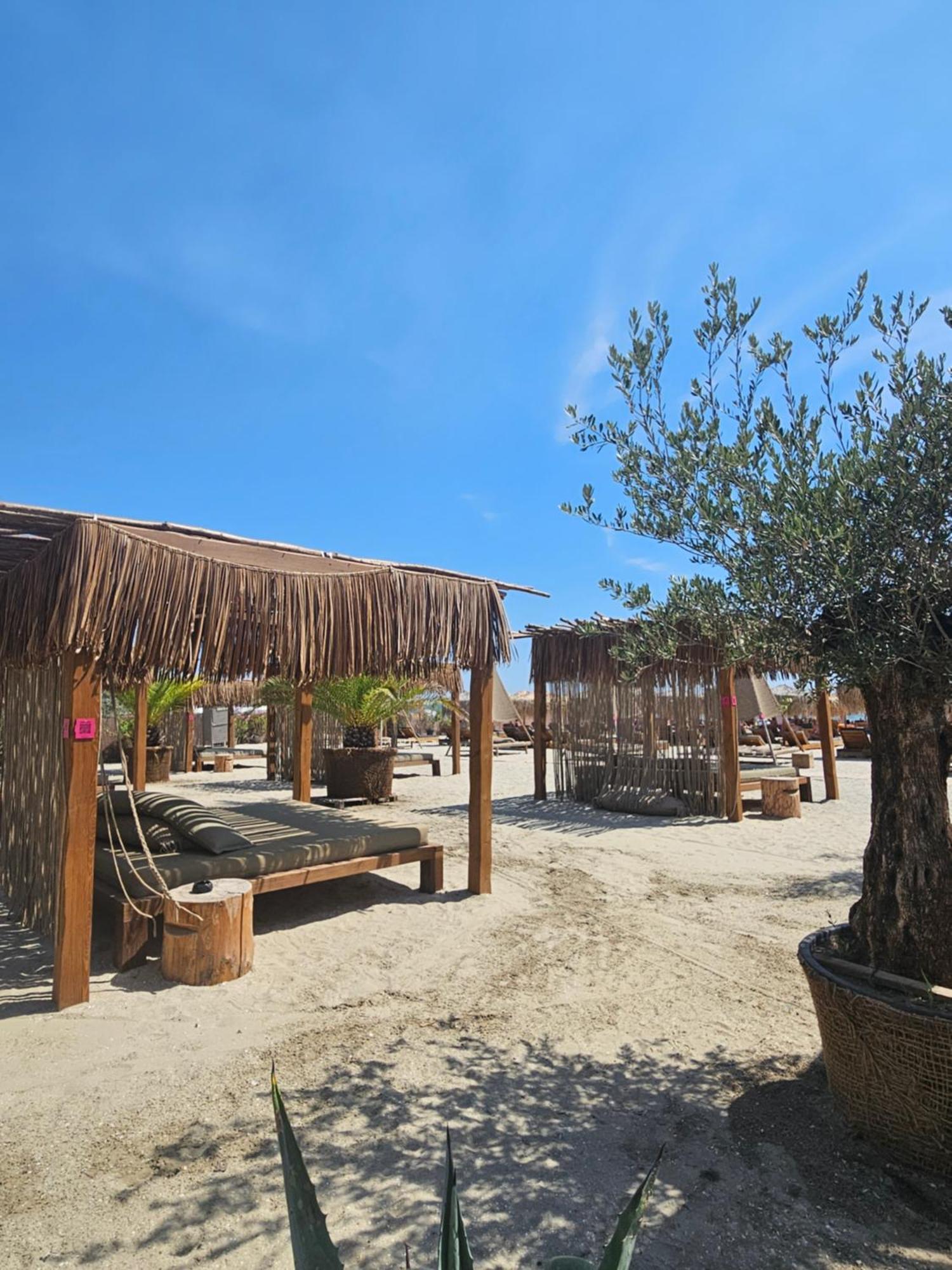 Zorba The Greek Apartment - Vedere La Mare Năvodari 외부 사진